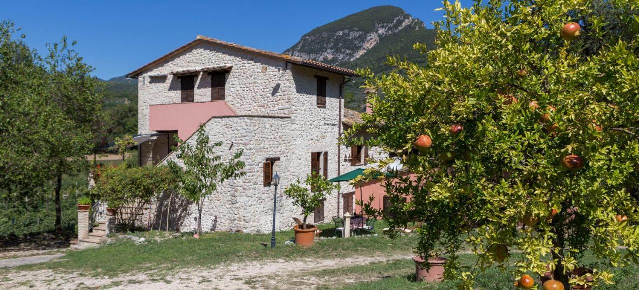 Agriturismo I Melograni Ferentillo Exterior foto