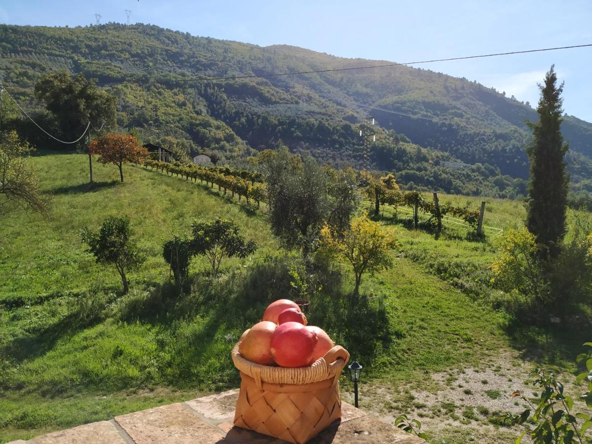 Agriturismo I Melograni Ferentillo Exterior foto