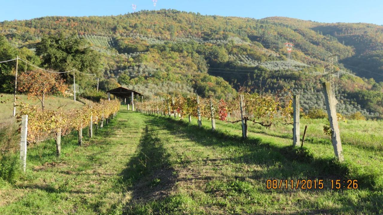 Agriturismo I Melograni Ferentillo Exterior foto